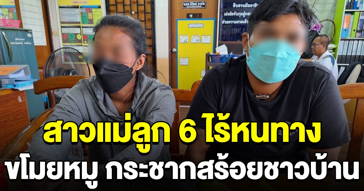 สาวลูก 6 ตกงาน หมดหนทางทำกิน ขโมยหมูสด 2 โล กระชากสร้อยชาวบ้าน