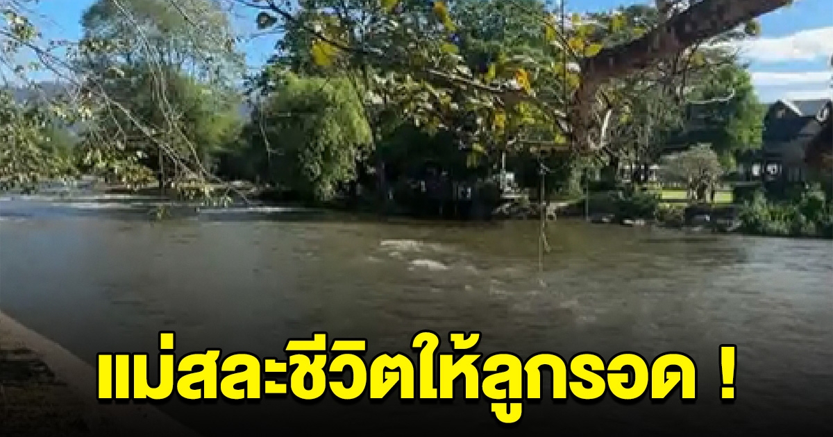เศร้า แม่สละชีวิต โดดช่วยลูกขึ้นจากน้ำ ก่อนจะหมดแรง