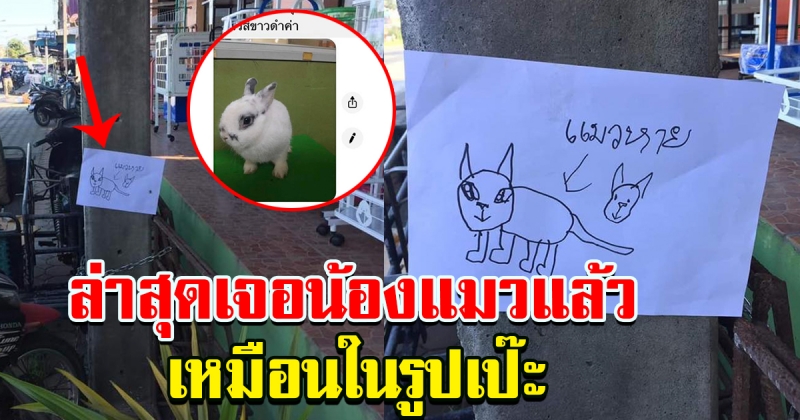 หนูน้อย ติดป้าย ประกาศตามหาน้องแมวหาย ล่าสุดเจอน้องแมวแล้ว