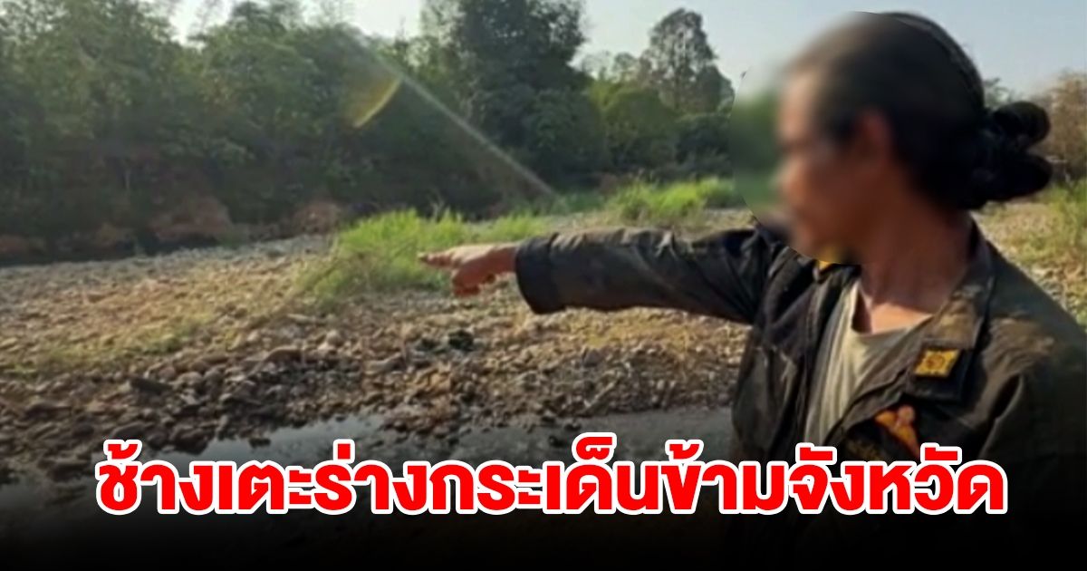 ช้างป่าไล่กระทืบชาวบ้าน เตะร่างกระเด็นข้ามจังหวัดดับสลด