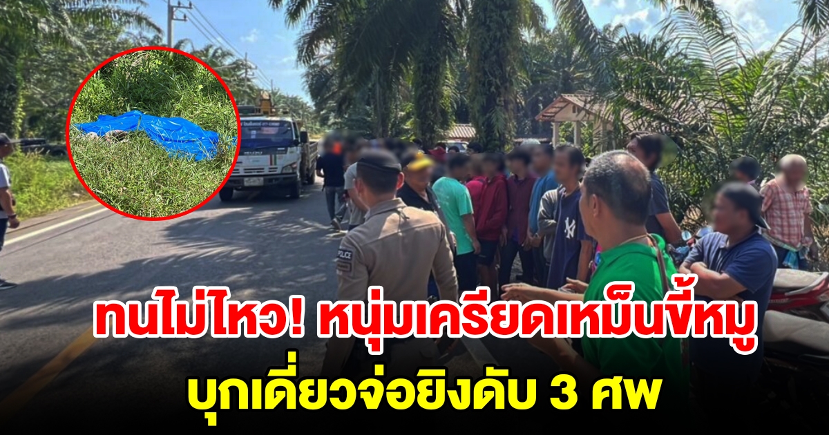 หนุ่มเครียดจัด ดมกลิ่นขี้หมูเพื่อนบ้านหลายปี บุกเดี่ยวจ่อยิงดับ 3 ราย
