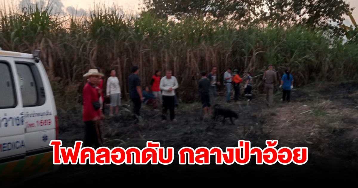 สลด หนุ่มวัย 41 ปี จุดไฟเผาซังตออ้อย ไฟลามดับไม่ทัน ถูกคลอกดับกลางไร่