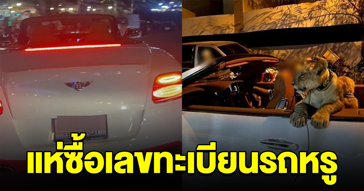 หากันเกลี้ยงแผง เลขทะเบียนรถหรู ที่สิงโตนั่งอยู่พัทยา