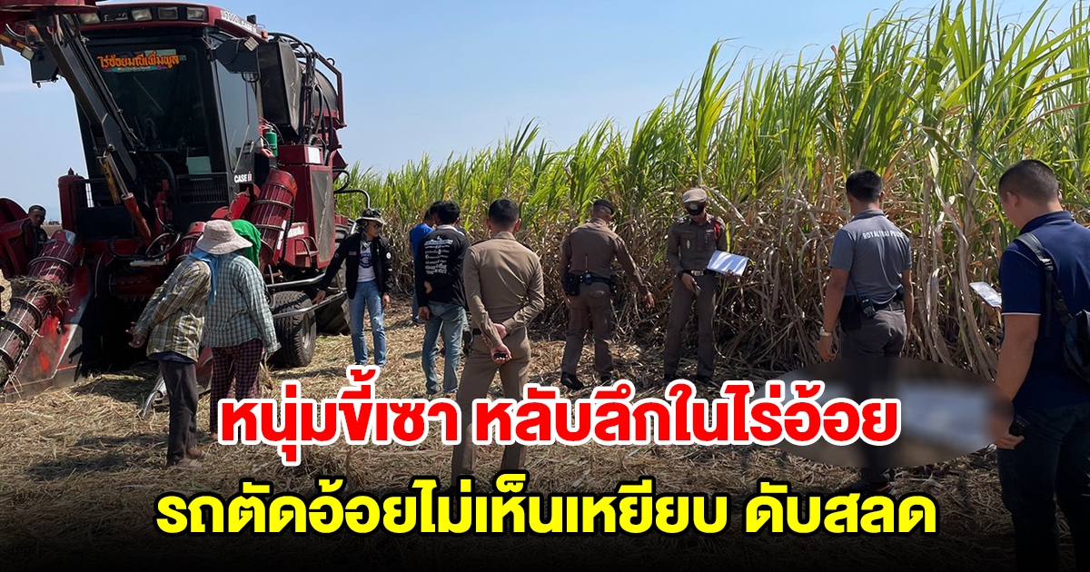 หนุ่มขี้เซา หลับลึกในไร่อ้อย รถตัดอ้อยไม่เห็นเหยียบดับสลด