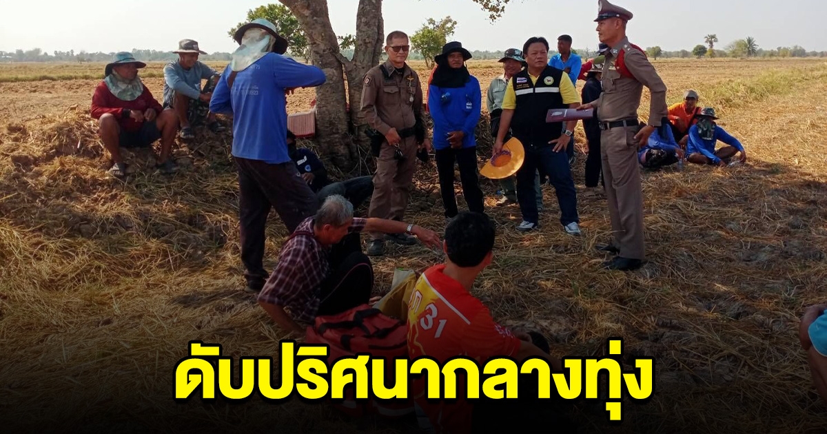หนุ่มใหญ่ ต้อนวัวไปเล็มหญ้า พบอีกทีเสียชีวิตปริศนากลางทุ่ง