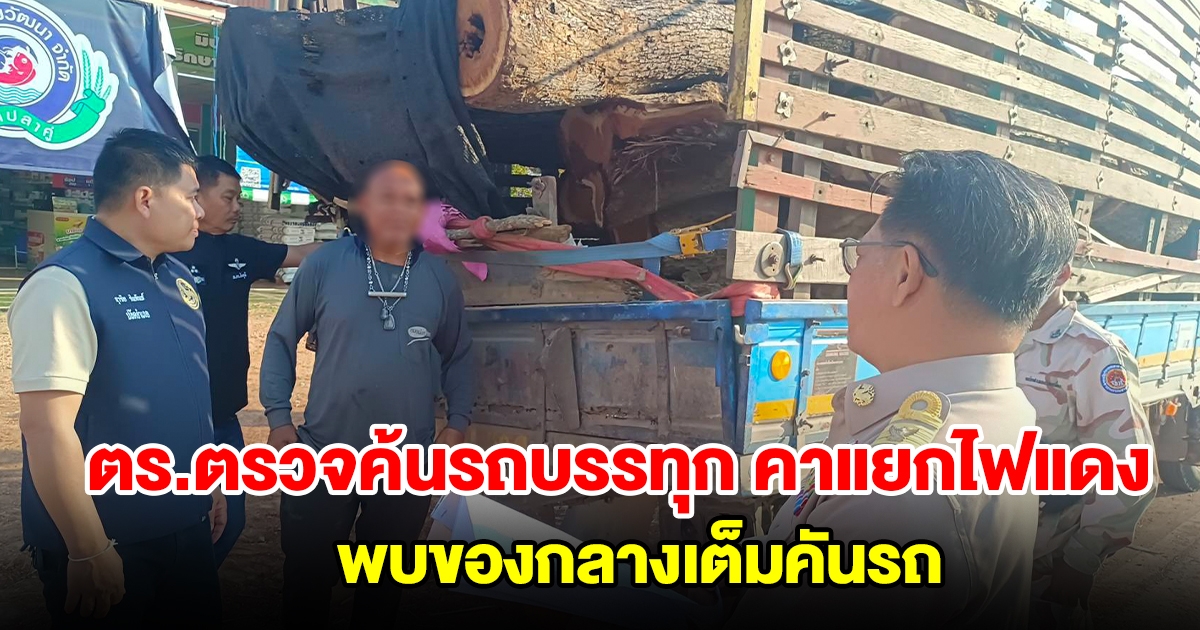 ตำรวจป่าไม้ สนธิกำลังตรวจค้นรถบรรทุกจอดเสียคาสี่แยกไฟแดง พบของกลางเต็มคันรถ