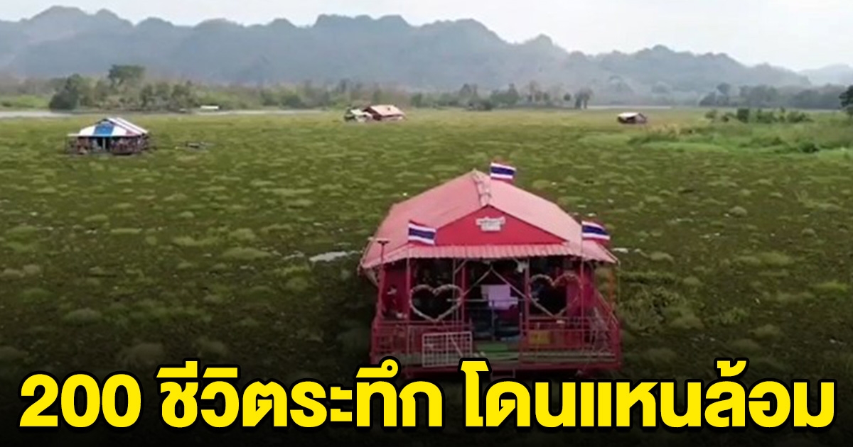 200 ชีวิต ระทึก แพท่องเที่ยวถูกจอกแหนล้อม