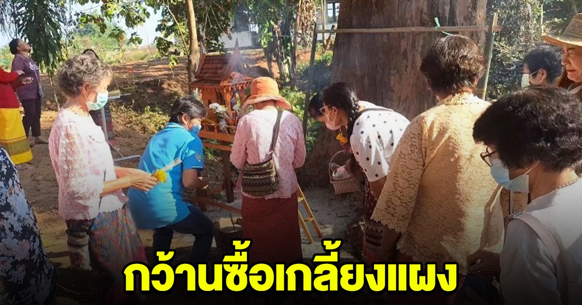 ชาวบ้านวิ่งหาซื้อ เลขตะเคียนทรายโบราณ 3 ตัวชัดๆ