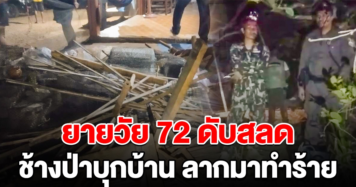 ยายวัย 72 อยู่คนเดียว ช้างป่าบุกเข้าบ้าน ลากออกมาทำร้ายดับสลด