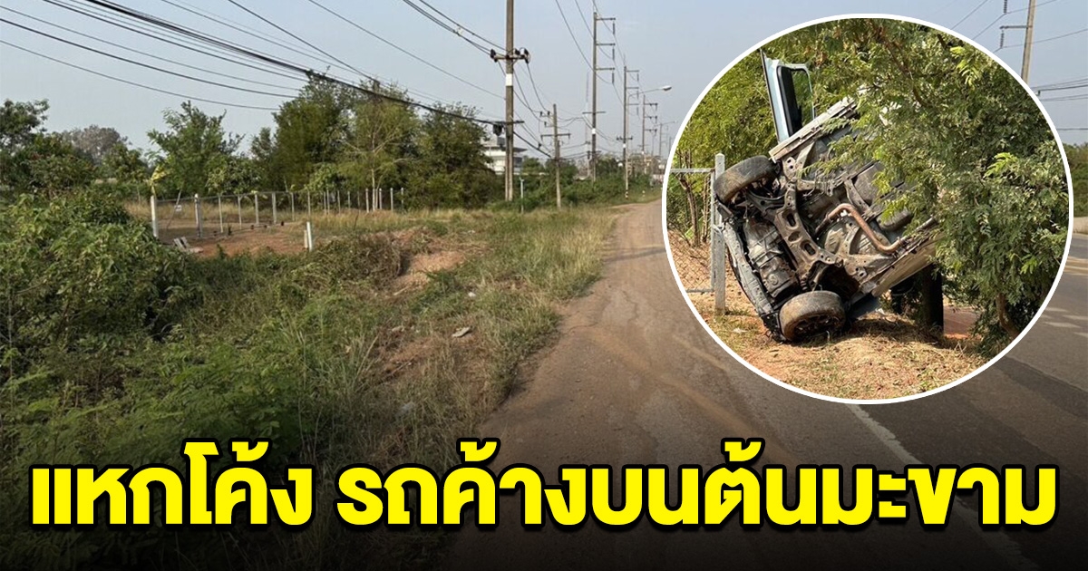 ระทึก หนุ่มซิ่งเก๋ง แหกโค้ง พลิกคว่ำตีลังกา ค้างบนต้นมะขาม