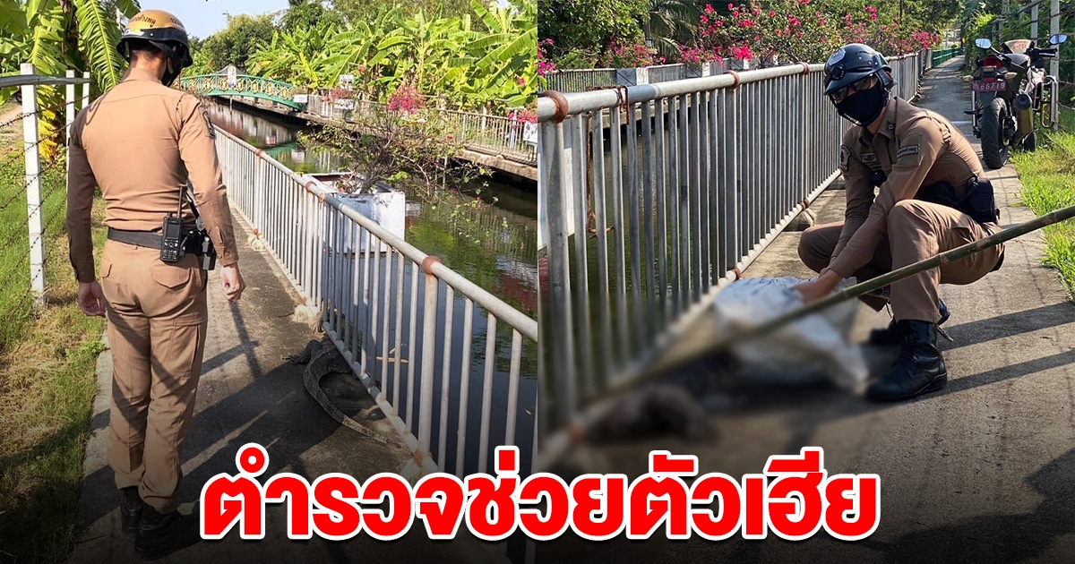 เป็นให้เธอได้ทุกอย่าง ชาวบ้านแจ้งตำรวจ ช่วยตัวเงินตัวทอง