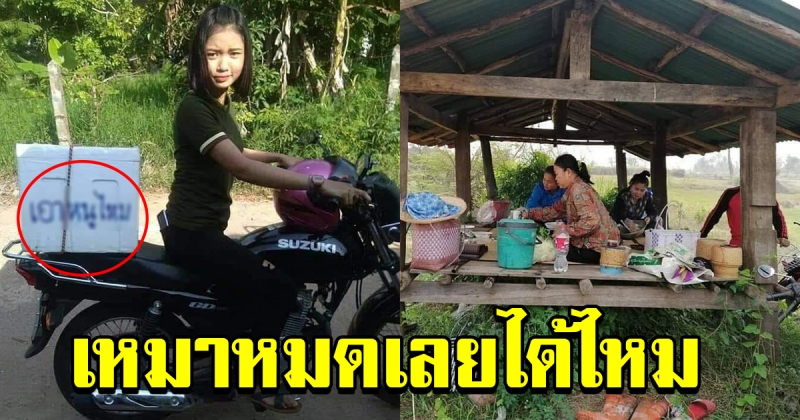 สาวน้อย ลูกชาวนา หลังเกี่ยวข้าวเสร็จแล้วออกมาหารายได้พิเศษ