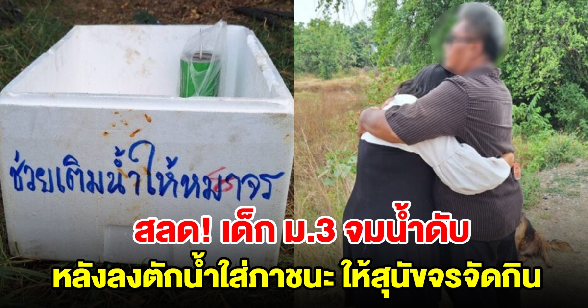 เด็ก ม.3 จมน้ำดับ หลังลงตักน้ำใส่ภาชนะ ให้สุนัขจรจัดกิน