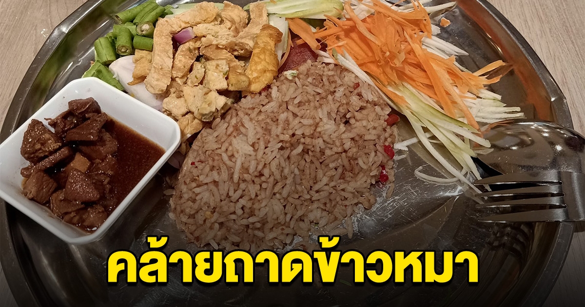 ลูกค้าติงร้านอาหาร ใช้ภาชนะคล้ายถาดข้าวหมา