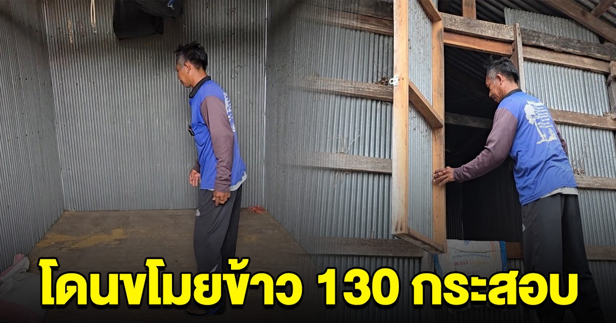 ชาวนาน้ำตาตกใน ถูกโจรขโมยข้าวเปลือกเกลี้ยง 130 กระสอบ