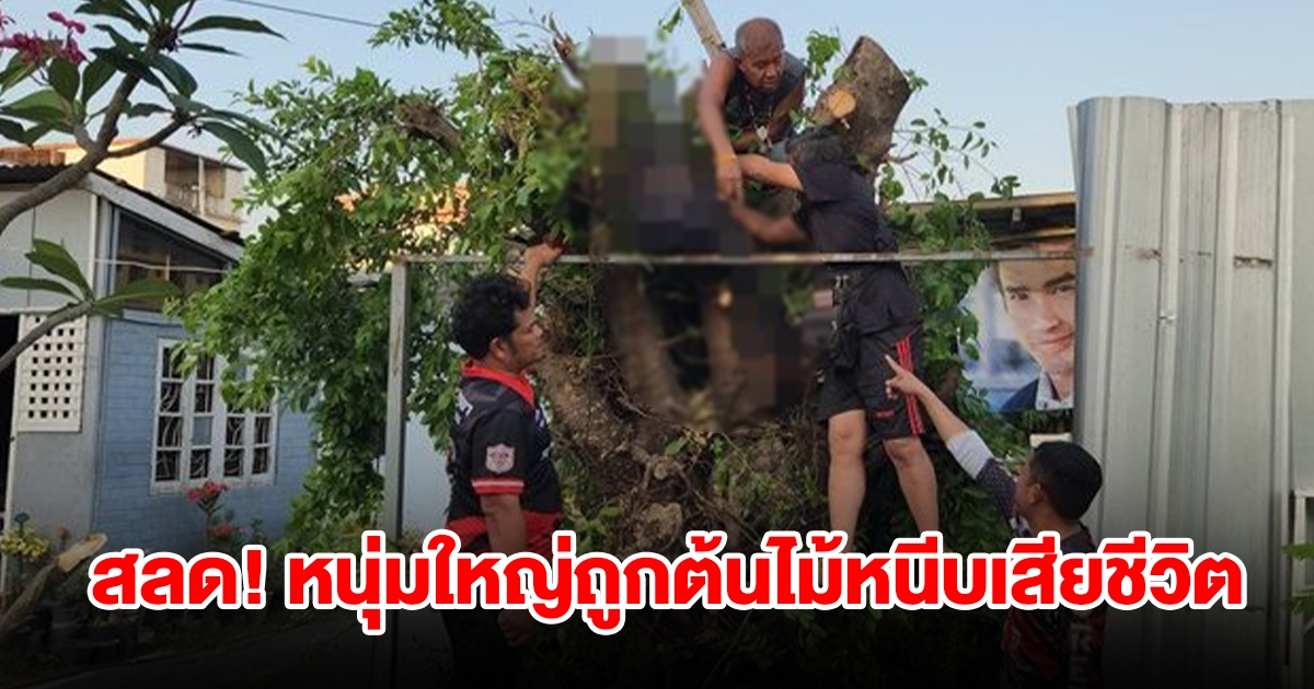 สลด! หนุ่มใหญ่ปีนตัดกิ่งต้นไทร ถูกหนีบเสียชีวิต