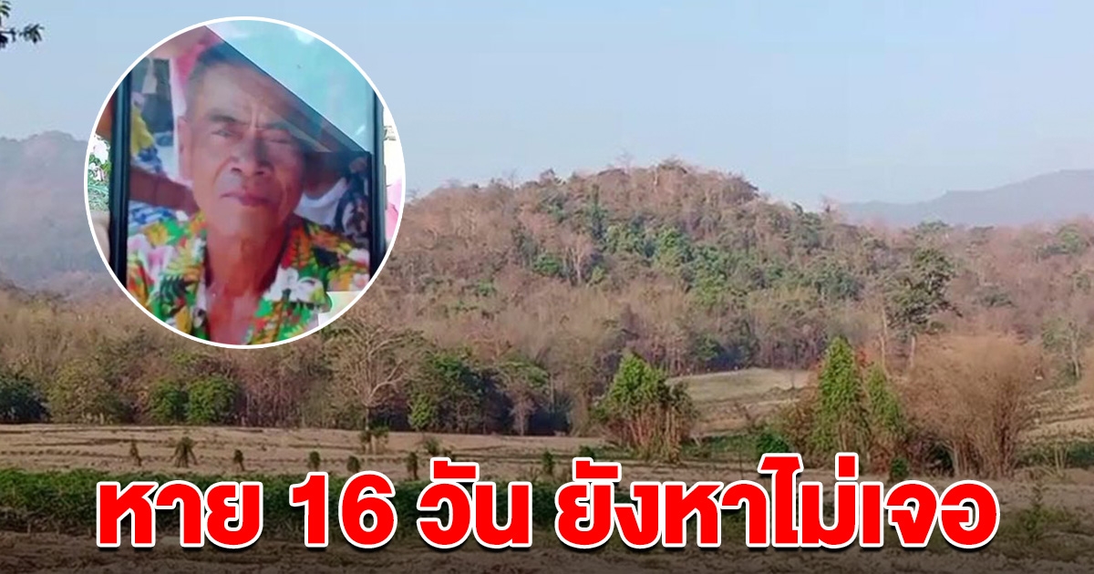 ลุงวัย 73 เข้าป่าหาผักหวาน หายตัว 16 วัน ยังตามหาไม่เจอ
