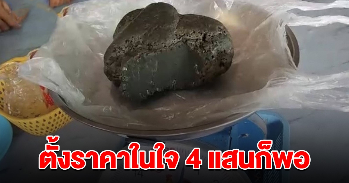 หนุ่มชาวประมง ออกไปหาปู เจอ อ้วกวาฬ ลอยมาหา ตั้งราคาขายในใจ 4 แสนก็พอ