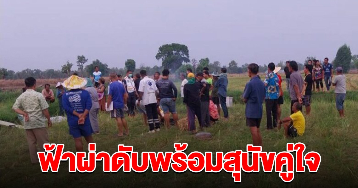 ยายออกไปเกี่ยวหญ้าช่วงพายุเข้า โดนฟ้าผ่า เสียชีวิตพร้อมสุนัขคู่ใจ