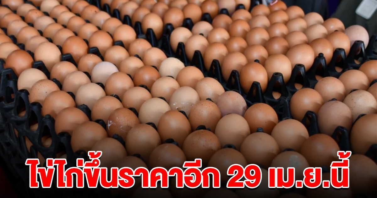 ไข่ไก่ ประกาศขึ้นราคาอีกรอบ เริ่ม 29 เม.ย. นี้