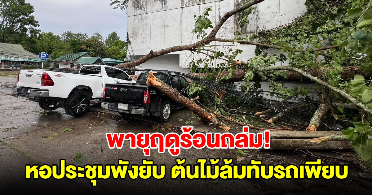 พายุฤดูร้อนถล่ม ซัดหอประชุม-อาคารเรียนพังยับ ต้นไม้ล้มทับรถยนต์เสียหายหลายคัน