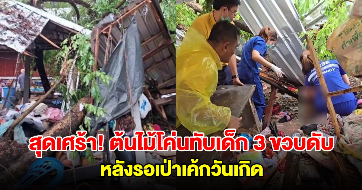 สุดเศร้า! หนูน้อย 3 ขวบ รอเป่าเค้กวันเกิด พายุถล่มซัดต้นไม้โค่นทับดับคาที่