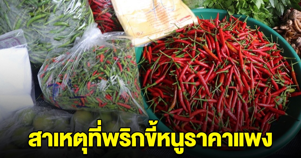 กรมการค้าภายในเผย สาเหตุที่ พริกขี้หนู ราคาแพง