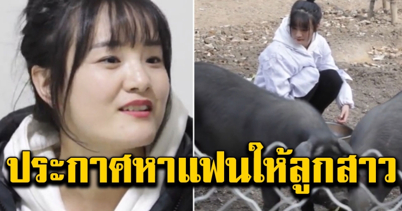 พ่อประกาศหาแฟนให้ลูกสาว แถมหมูอีก 300 ตัวฟรี
