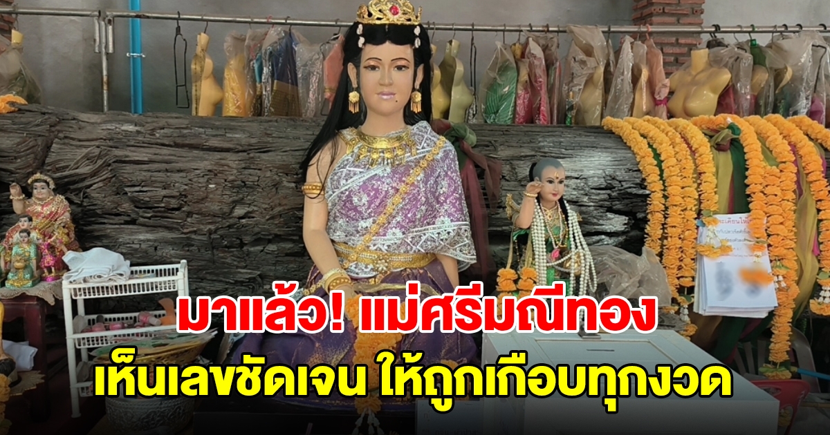มาแล้ว! เลขตะเคียนแม่ศรีมณีทอง ให้โชคมาแล้วหลายรอบ