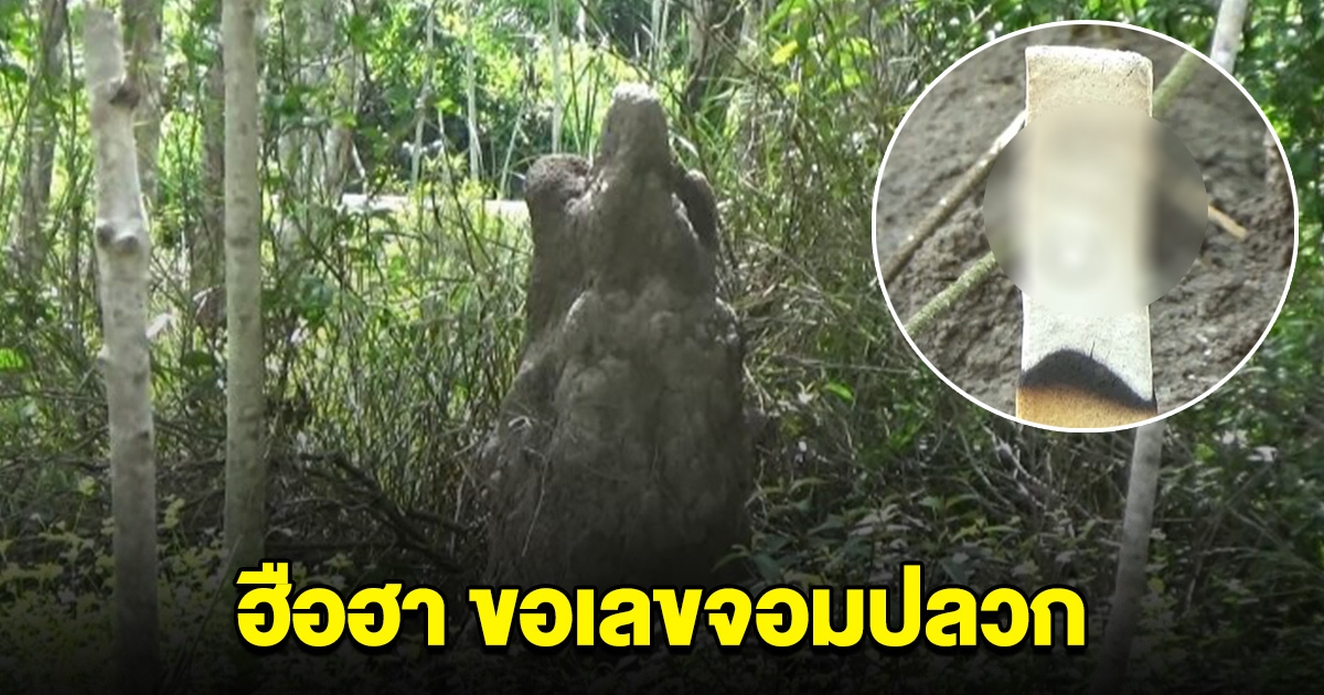 ฮือฮา จอมปลวกรูปร่างคล้ายผู้หญิง เชื่อเป็นเจ้าที่ คนแห่จุดธูป