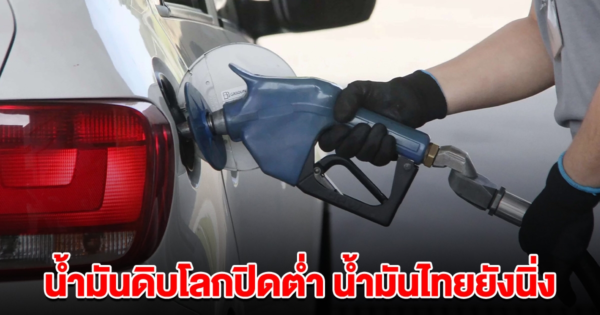 ราคาน้ำมันดิบตลาดโลกปิดต่ำ ราคาน้ำมันไทยยังนิ่ง
