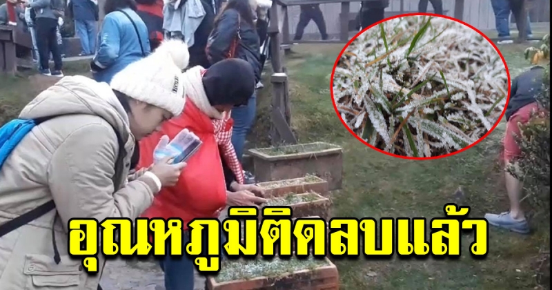 เช้านี้ดอยอินทนนท์ อุณหภูมิติดลบ เกิดเหมยขาบทั่วยอดดอย