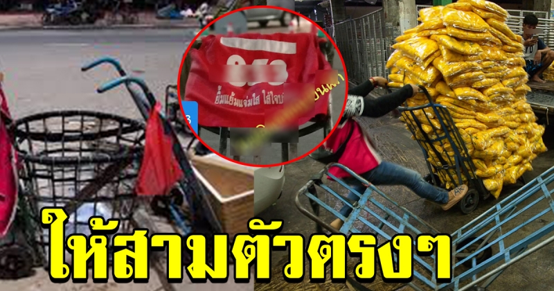 เลข คนเข็นผัก