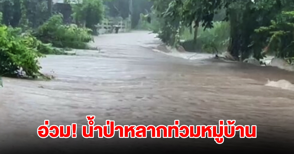 อุบลราชธานีอ่วม! ฝนถล่มหนัก น้ำป่าหลากท่วมหมู่บ้าน บ้านเรือนเสียหายเพียบ