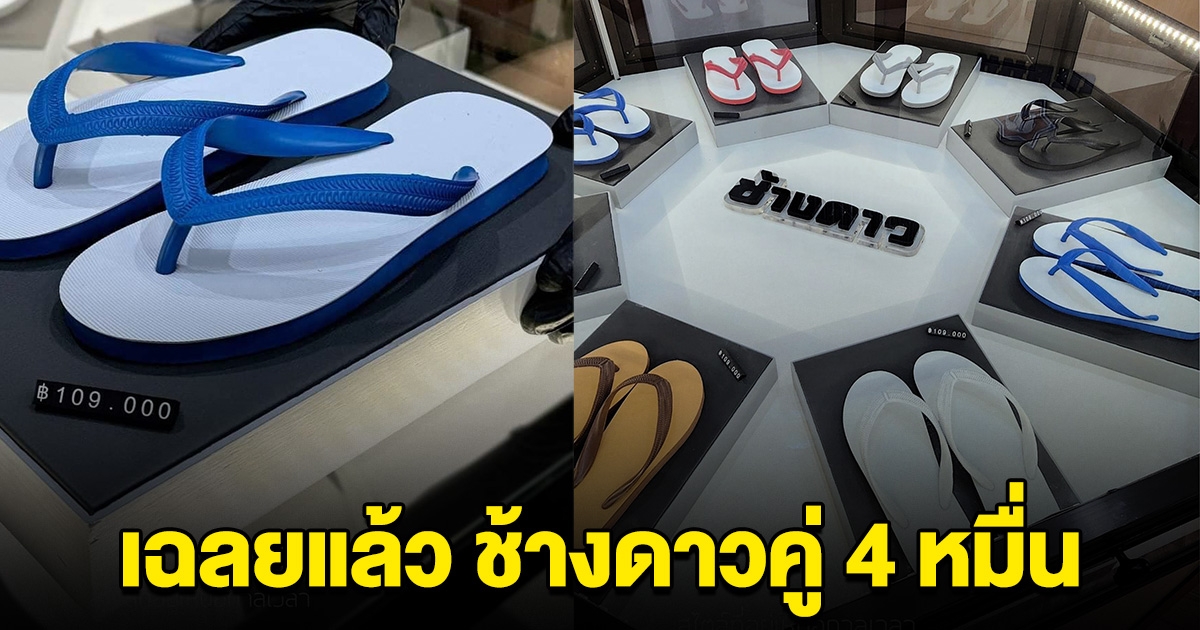 เฉลยแล้ว เรื่องรองเท้า ช้างดาว ในซาอุฯ คู่ละ 4 หมื่น