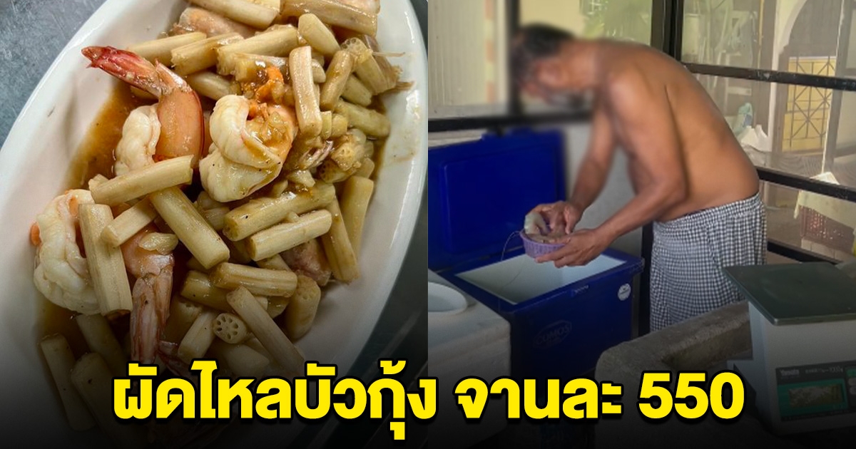 ดราม่า ร้านอาหารที่ภูเก็ต ผัดไหลบัวกุ้ง จานละ 550 เจ้าของโร่ชี้แจง