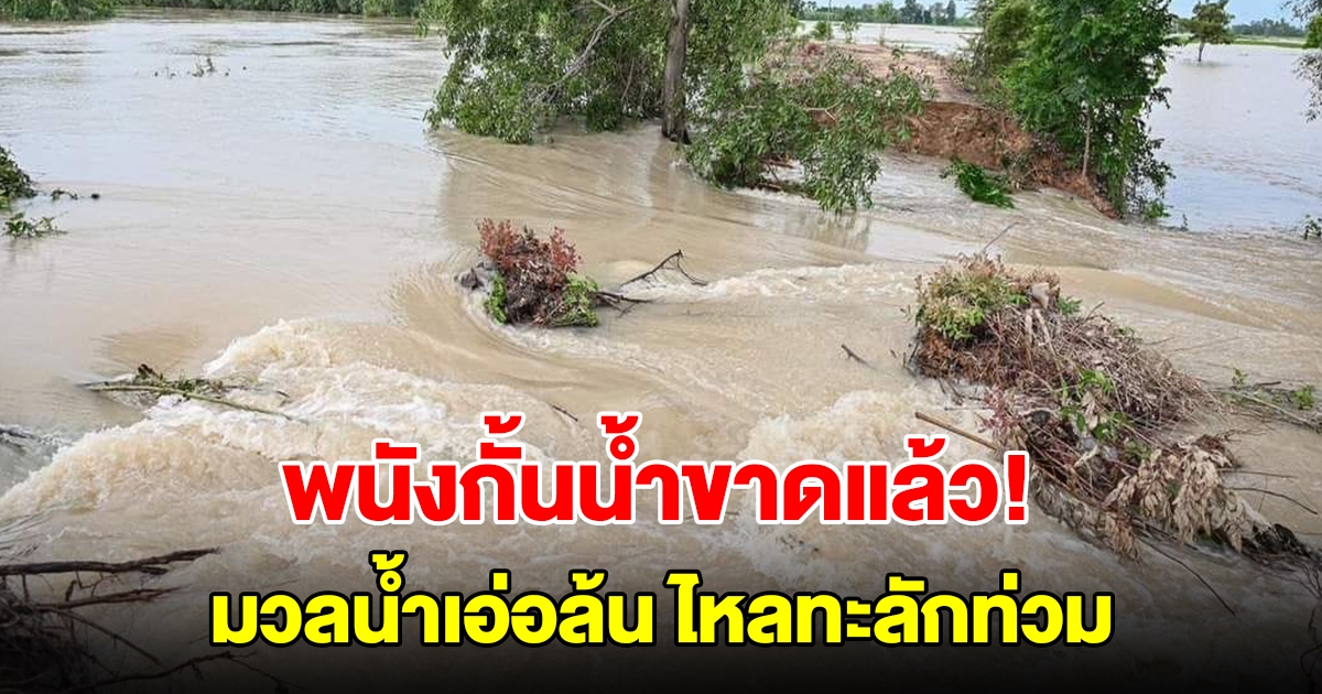 พนังขาดแล้ว! ลำน้ำเสียวใหญ่ มวลน้ำเอ่อล้น ไหลทะลักท่วม