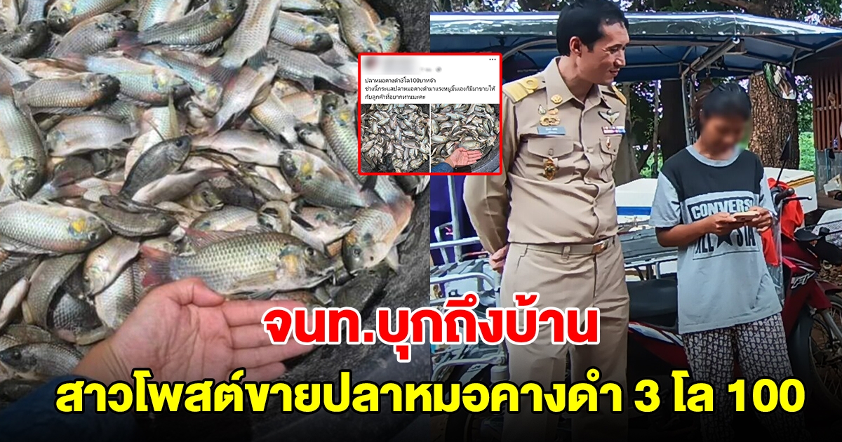 จนท.บุกถึงบ้าน สาวโพสต์ขายปลาหมอคางดำ 3 โล 100