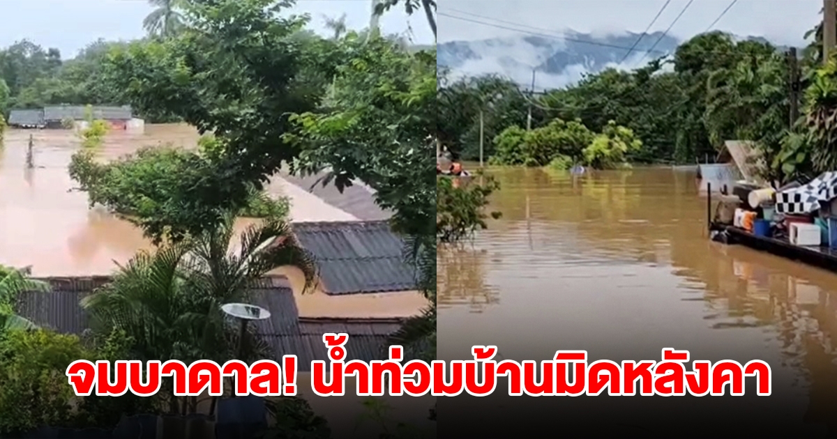 ไทรโยคอ่วมหนัก! ฝนตกต่อเนื่องหลายวัน น้ำท่วมบ้านมิดหลังคาจมบาดาล