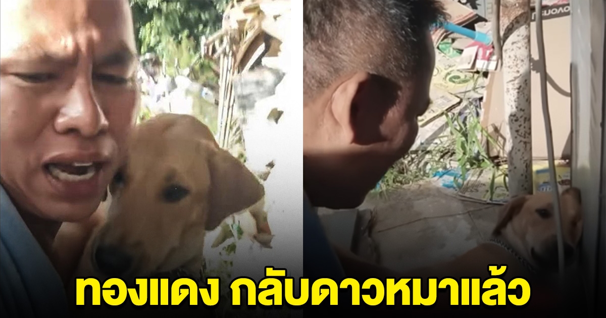 ปิดตำนาน ทองแดง หมาแสนรู้ เผยนาทีสุดท้าย บีบหัวใจ