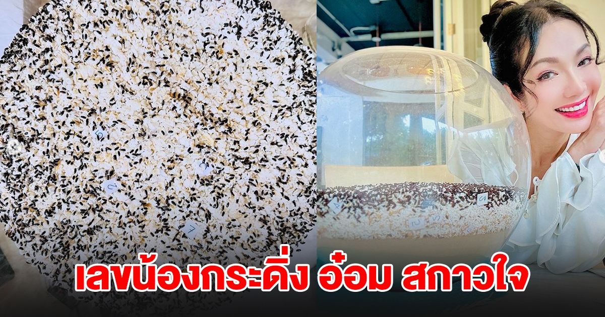 เลขน้องกระดิ่ง อ๋อม สกาวใจ
