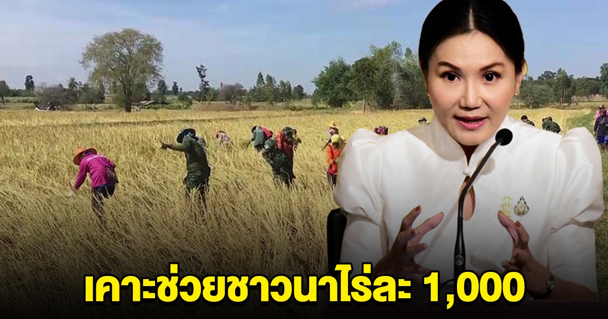 เฮ เคาะช่วยชาวนาไร่ละ 1,000 เตรียมชง นบข.