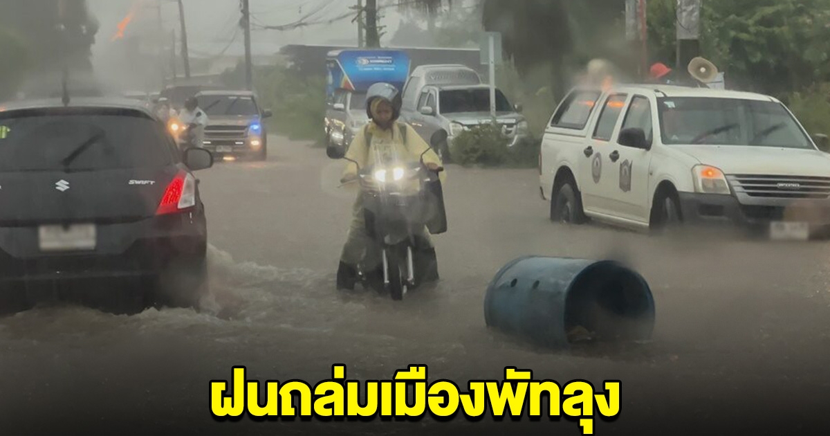 ฝนถล่มเมืองพัทลุง น้ำท่วมถนนหลายสาย ต้นไม้หักโค่น
