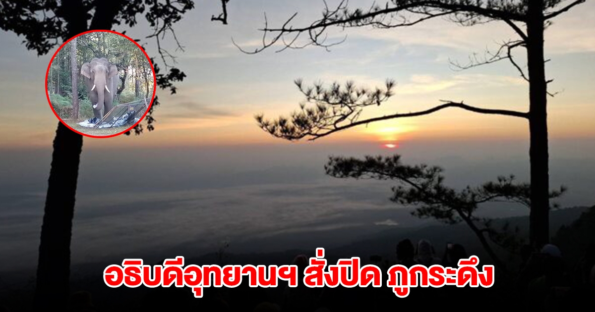 อธิบดีอุทยานฯ สั่งปิด ภูกระดึง แจ้งให้นักท่องเที่ยวทยอยออกจากพื้นที่