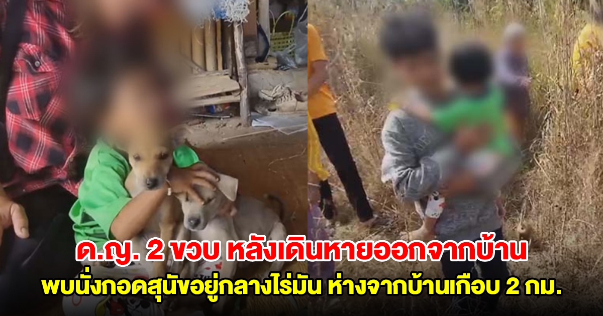 ญาติทำพิธีเรียกขวัญ ด.ญ. 2 ขวบ หลังเดินหายออกจากบ้าน พบนั่งกอดสุนัขน้อยอยู่กลางไร่มัน ห่างจากบ้านเกือบ 2 กม.