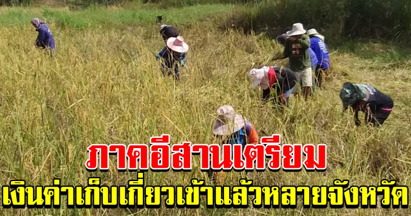 วันนี้ภาคอีสานเตรียม รับเงินช่วยค่าเก็บเกี่ยว เงินเข้าหลายจังหวัด