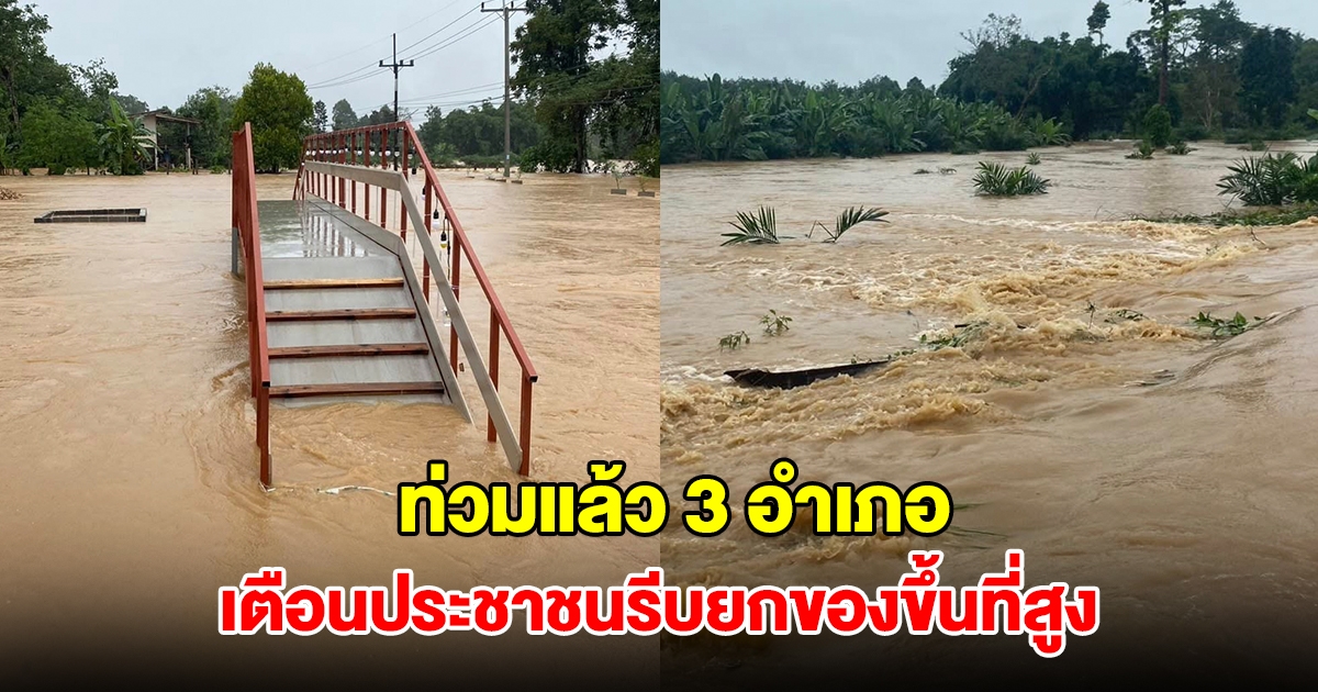 สุราษฎร์ธานีอ่วม! ฝนตกต่อเนื่อง น้ำป่าหลากท่วม 3 อำเภอ เตือนประชาชนรีบยกของขึ้นที่สูง