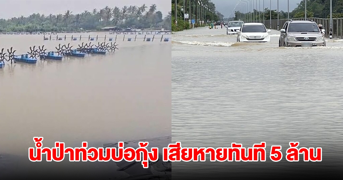 น้ำป่าหลากท่วม 6 บ่อเลี้ยงกุ้ง เสียหายทันที 5 ล้าน