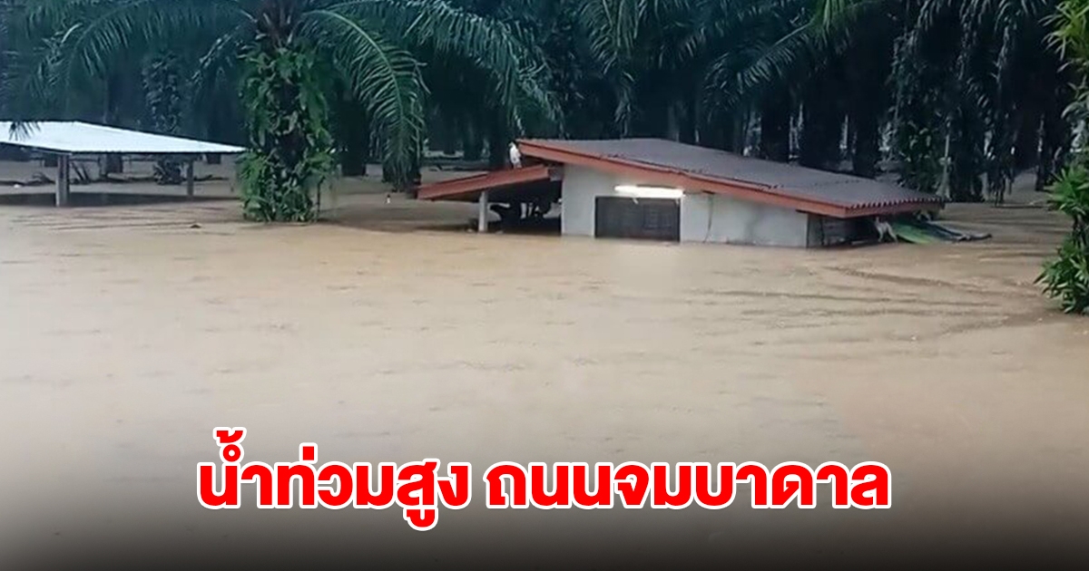 อ่วมหนัก! 4 จังหวัดใต้ น้ำท่วมสูงกว่า 1 เมตร ถนนสายเอเชีย 41 จมบาดาล ถูกตัดขาดการเดินทาง