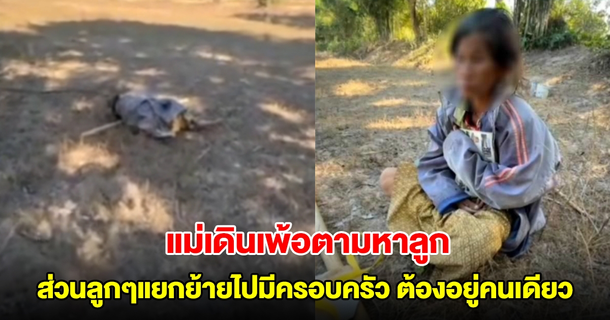 แม่เดินเพ้อตามหาลูก หลังอยู่คนเดียว ส่วนลูกทั้งหมดแยกย้ายไปมีครอบครัว